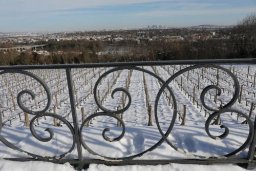 Saint Germain en Laye